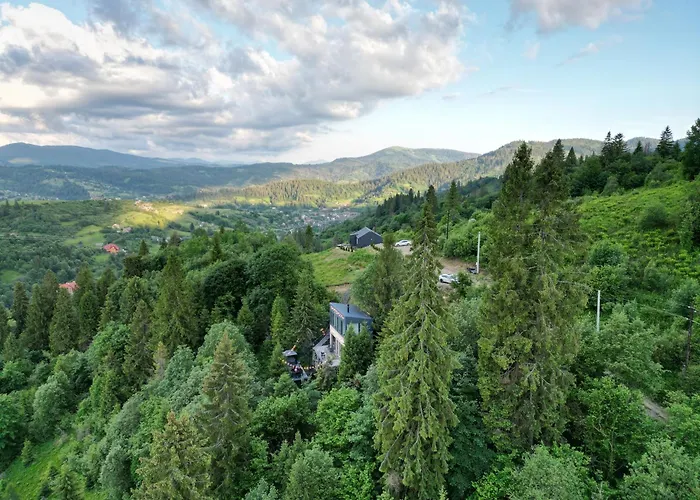 Forest Hub