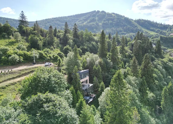 Forest Hub