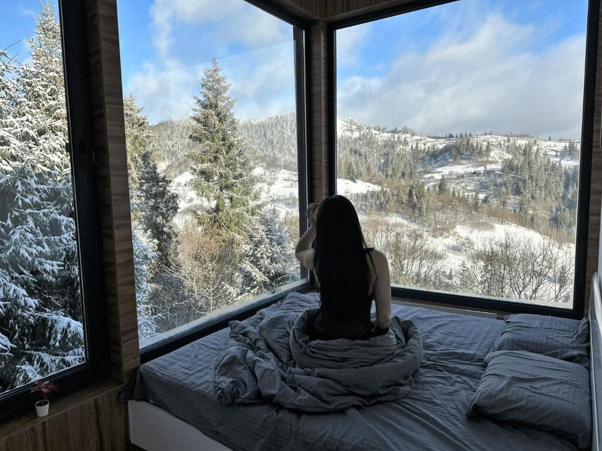 Chalet Forest Hub Slavske