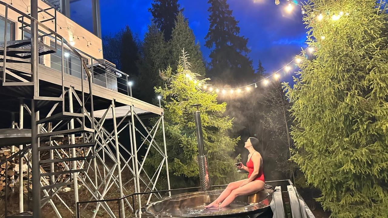 Chalet Forest Hub Slavske