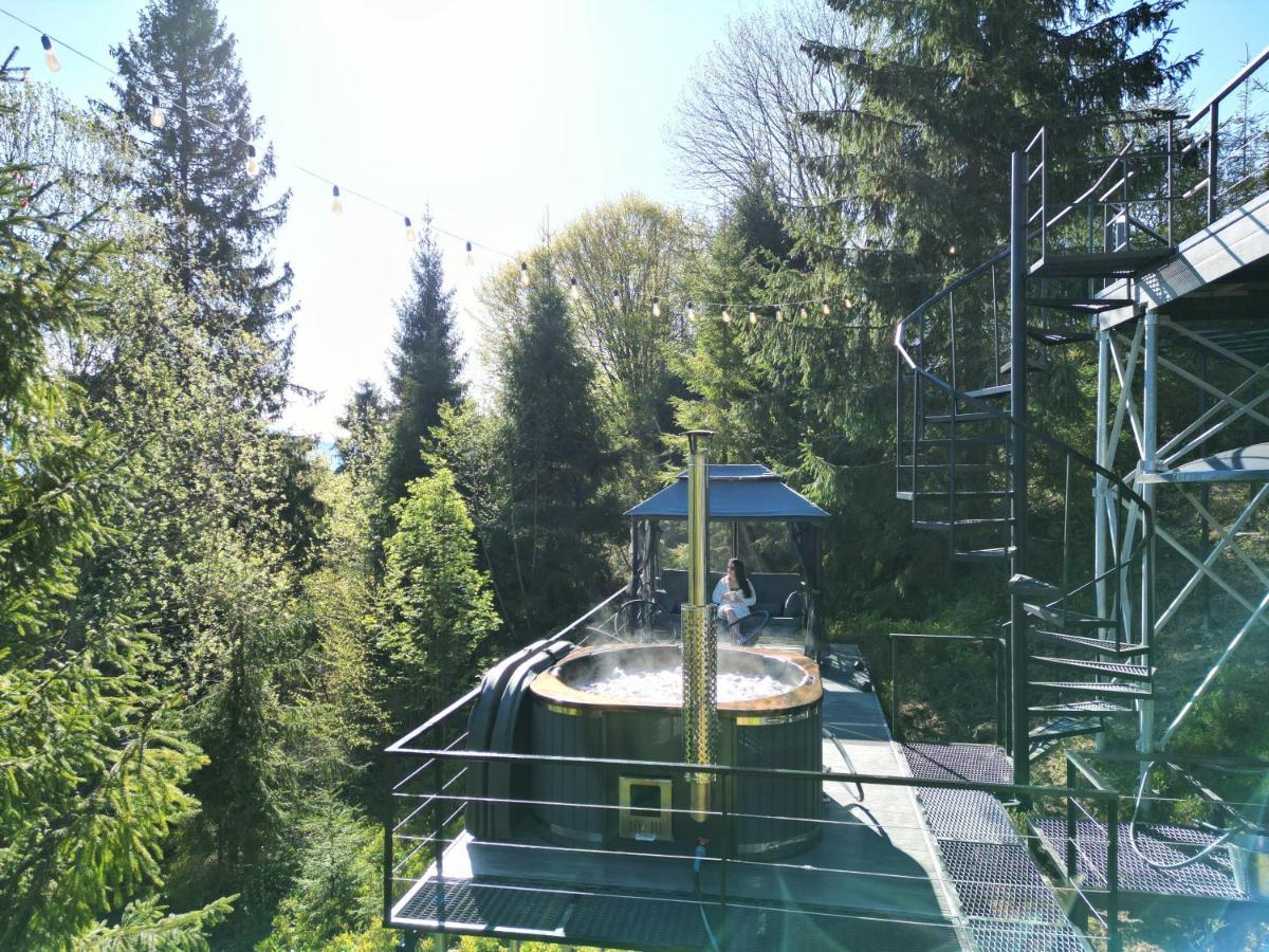 Forest Hub Chalet