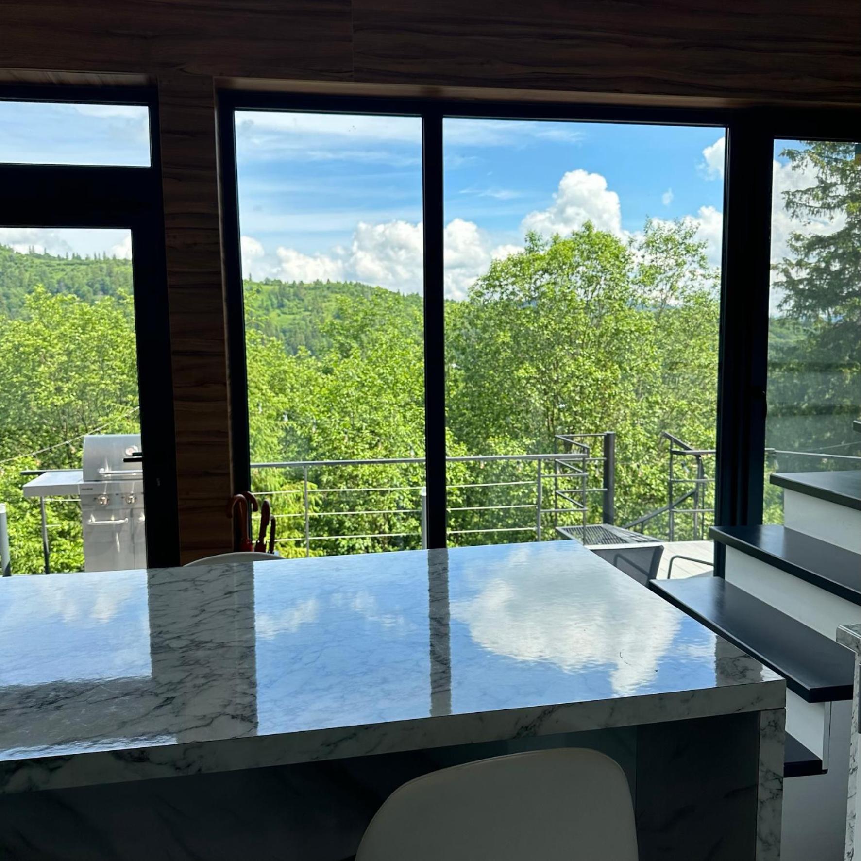 Chalet Forest Hub Slavske
