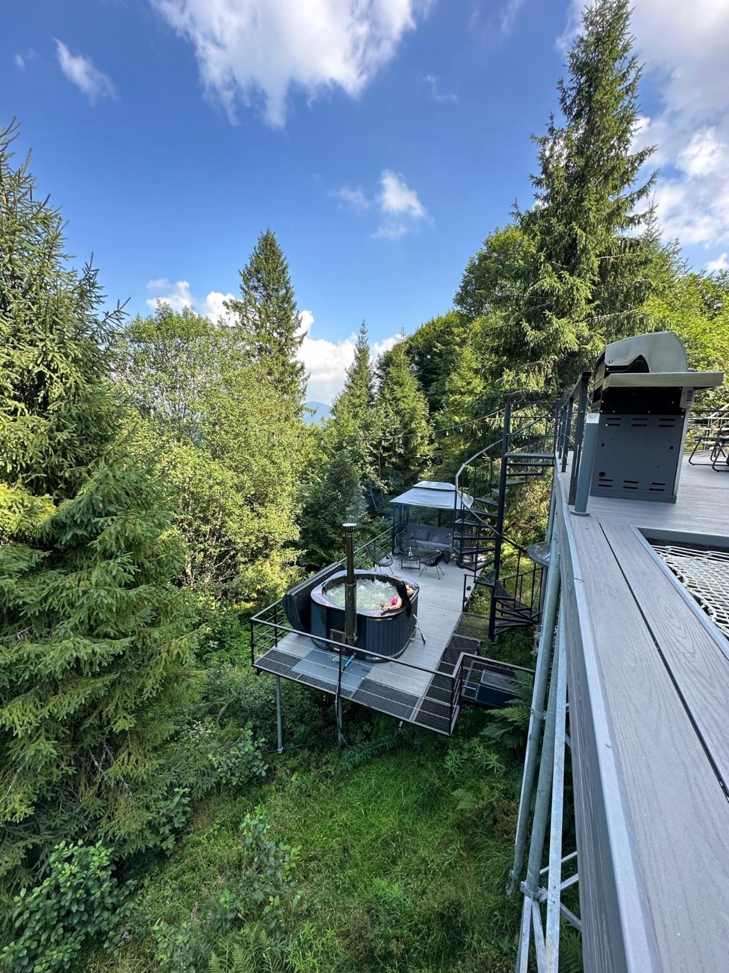 Forest Hub *