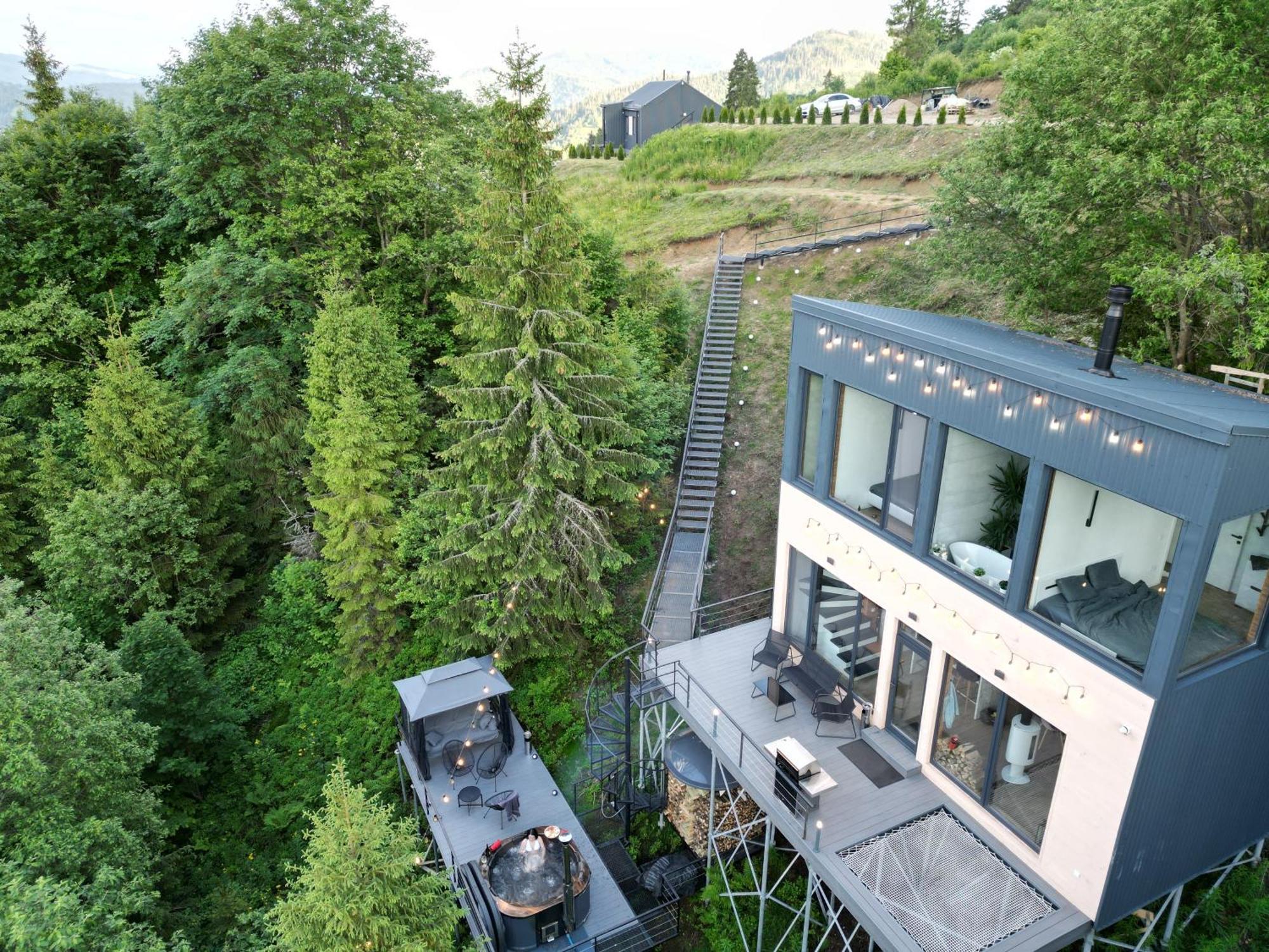 Forest Hub Slavske
