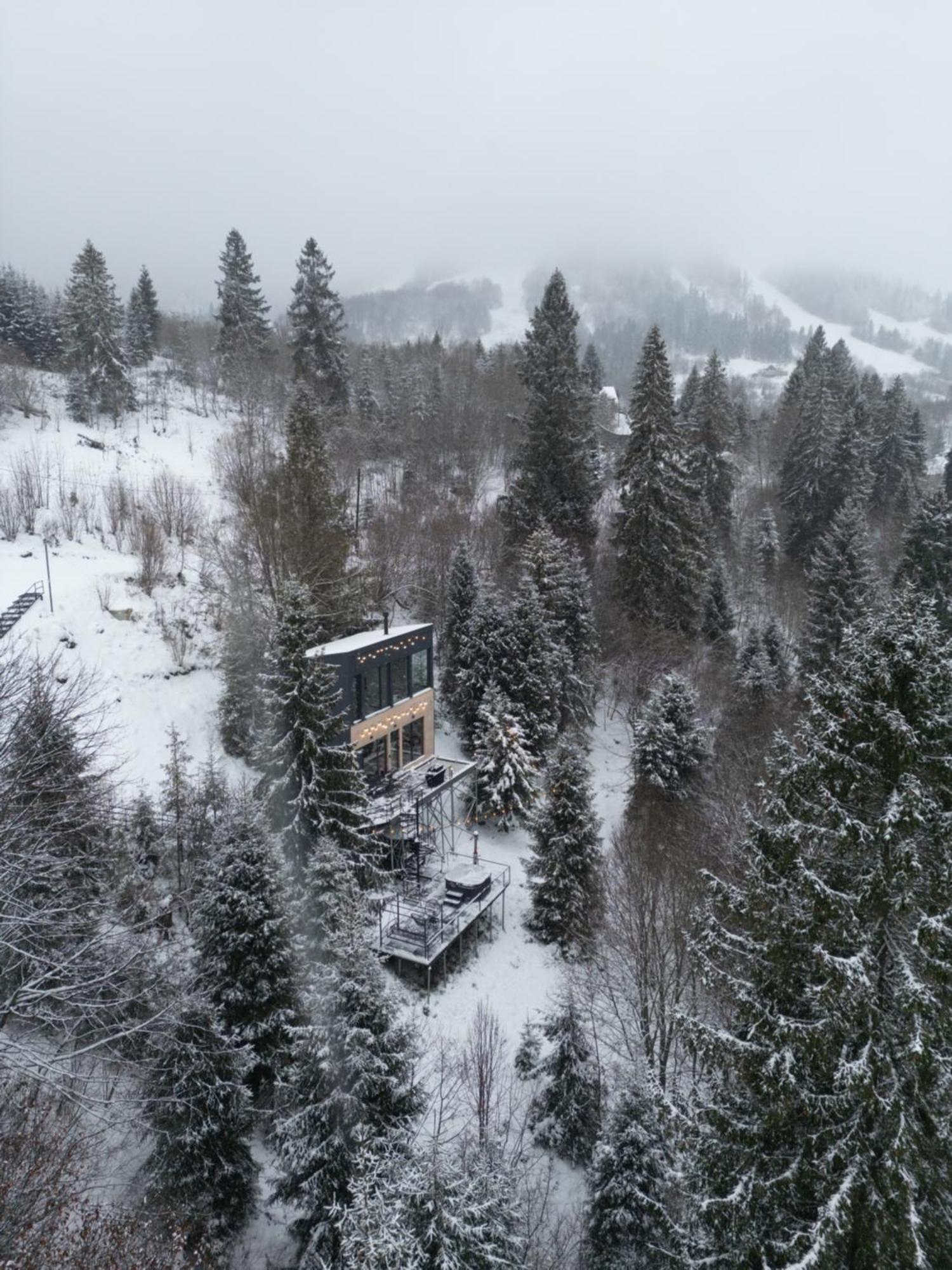 Forest Hub