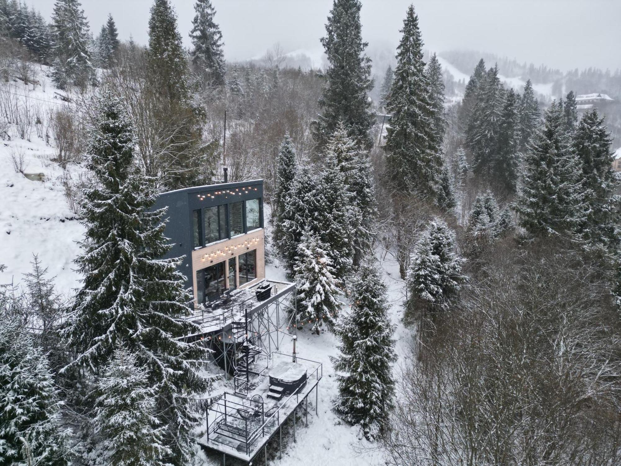 Forest Hub *