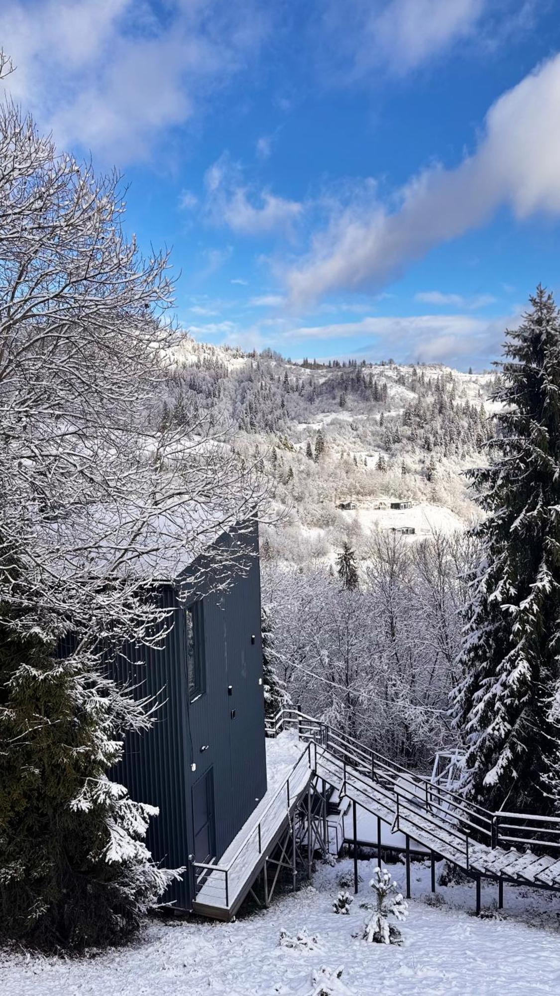 Chalet Forest Hub