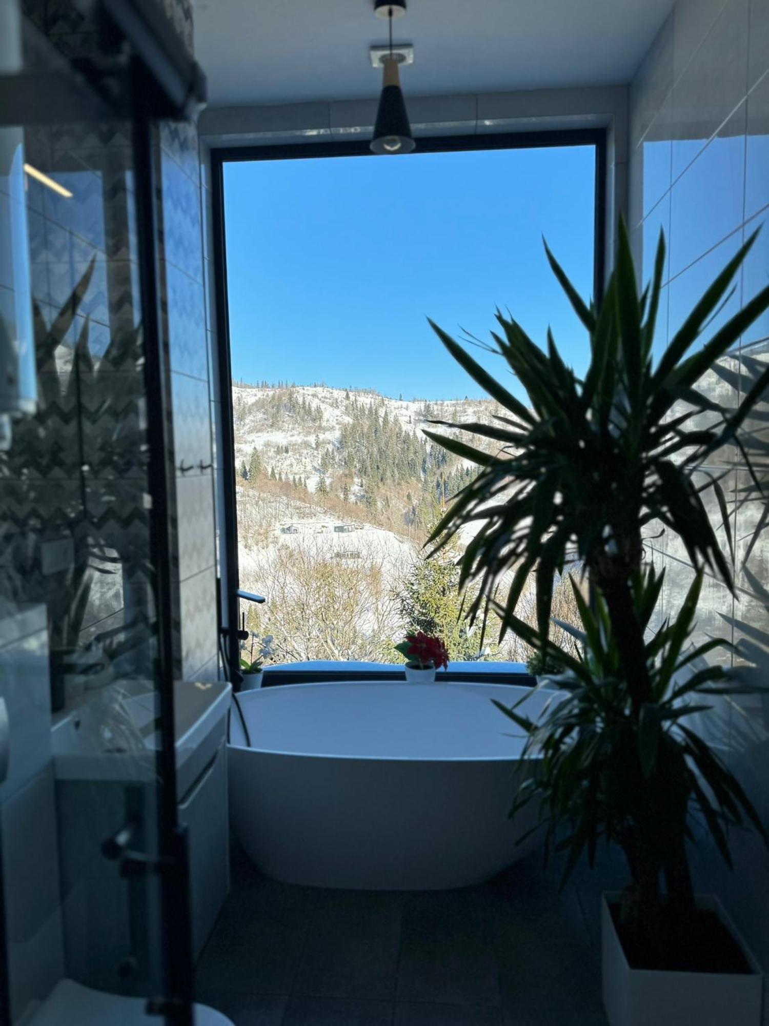 Chalet Forest Hub Slavske