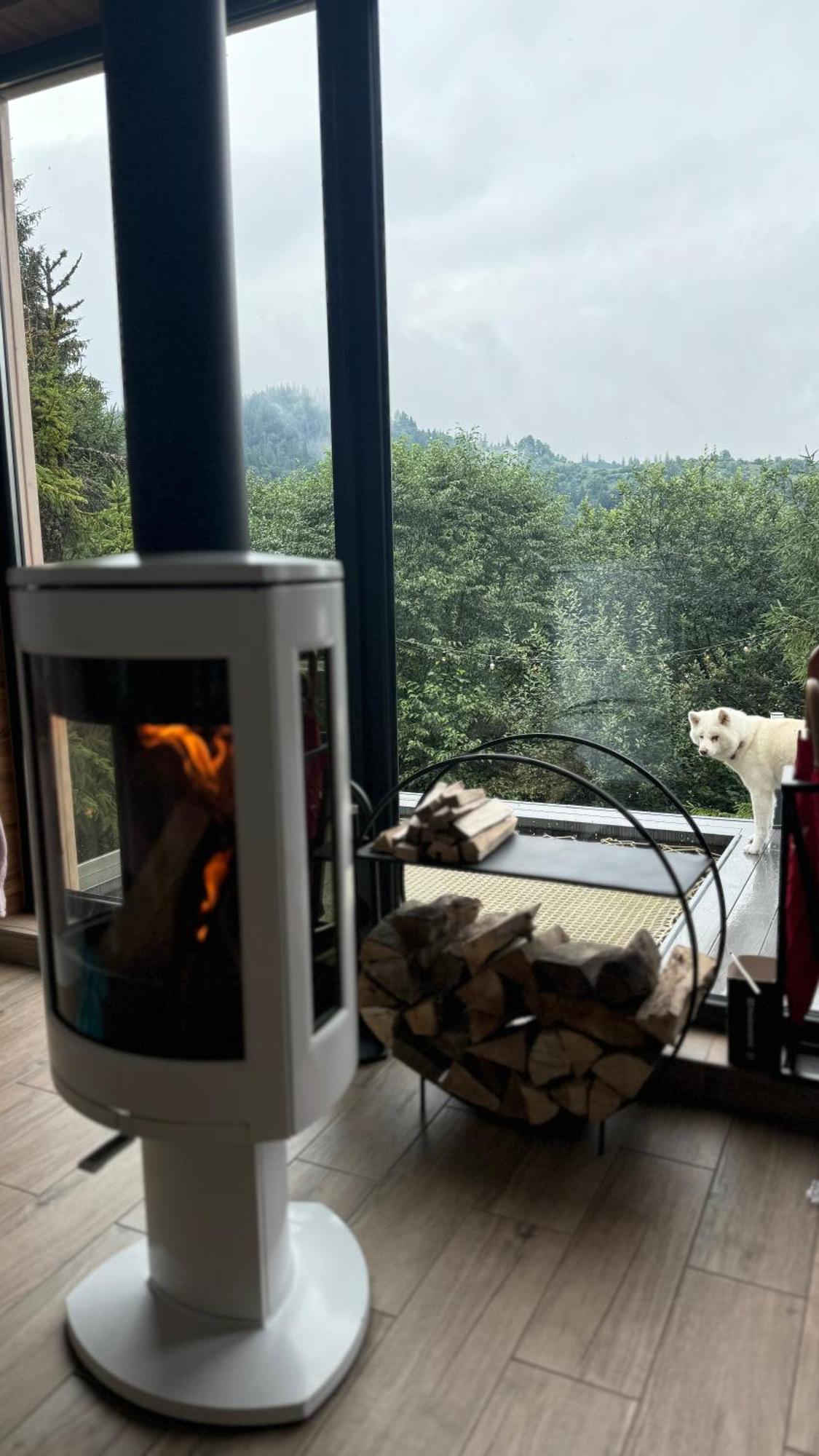 Chalet Forest Hub Slavske