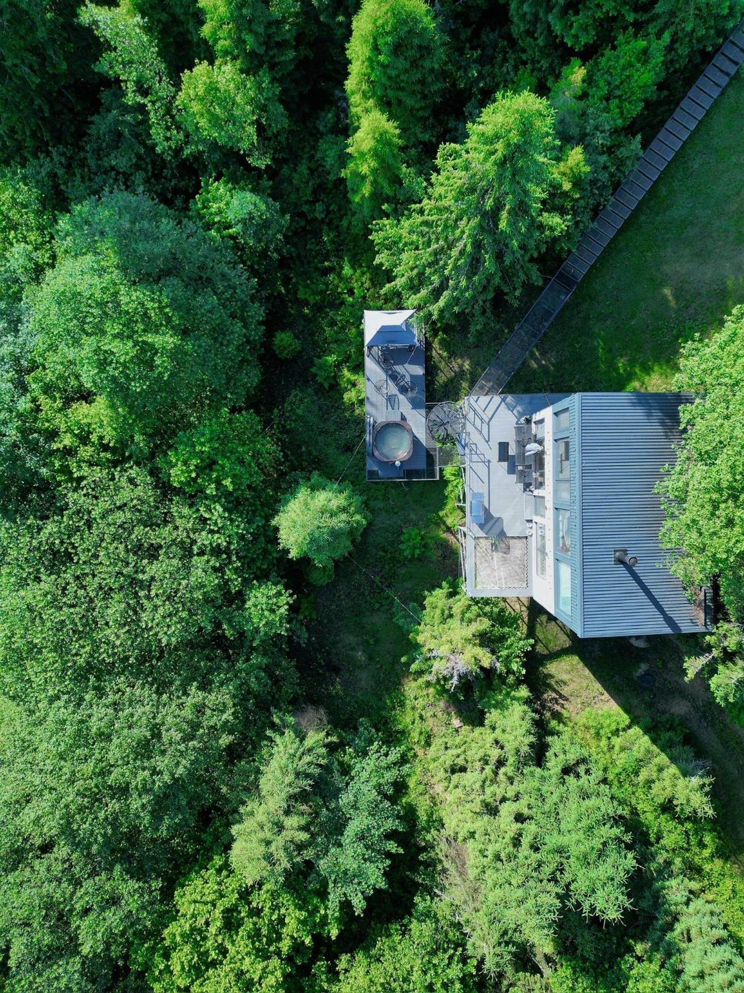 Chalet Forest Hub *