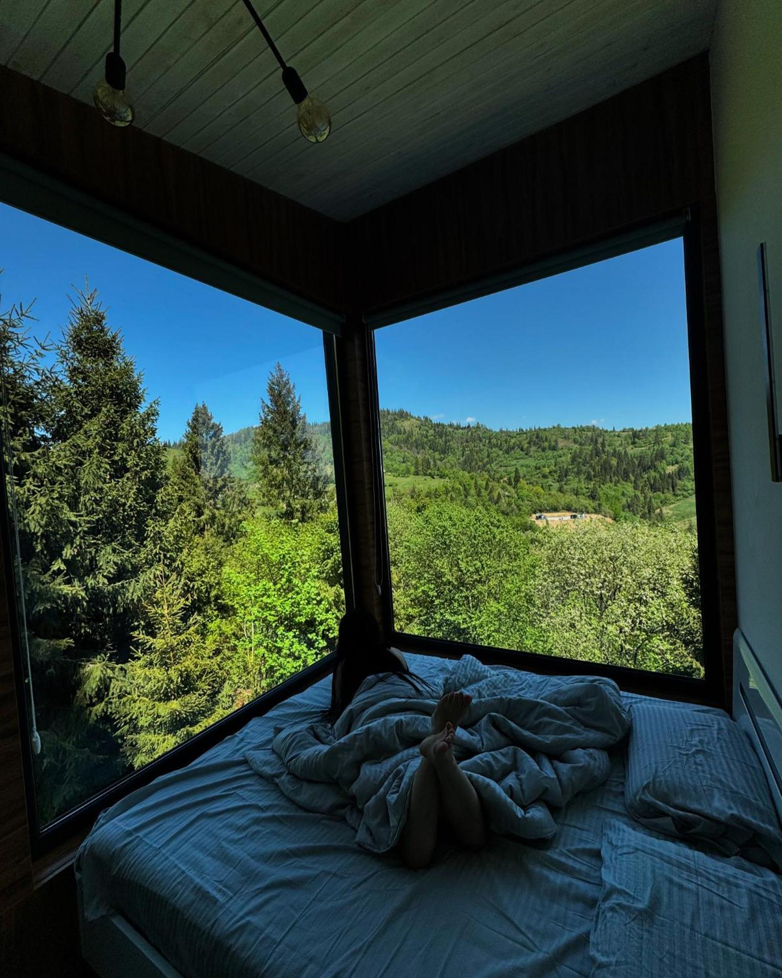 Forest Hub Slavske