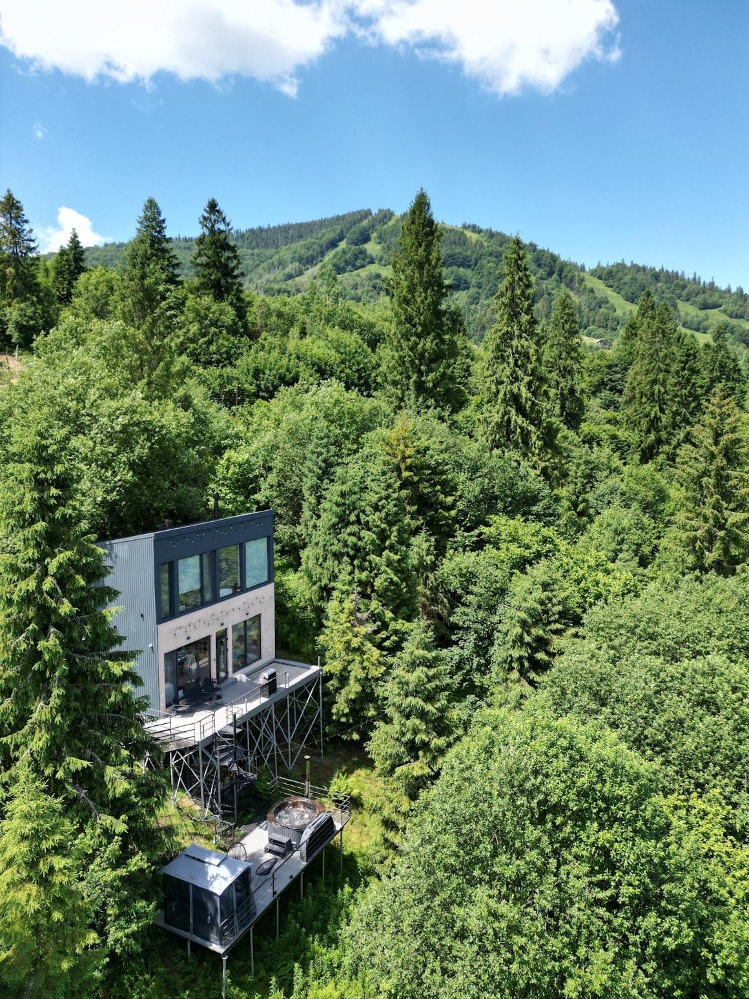 Forest Hub